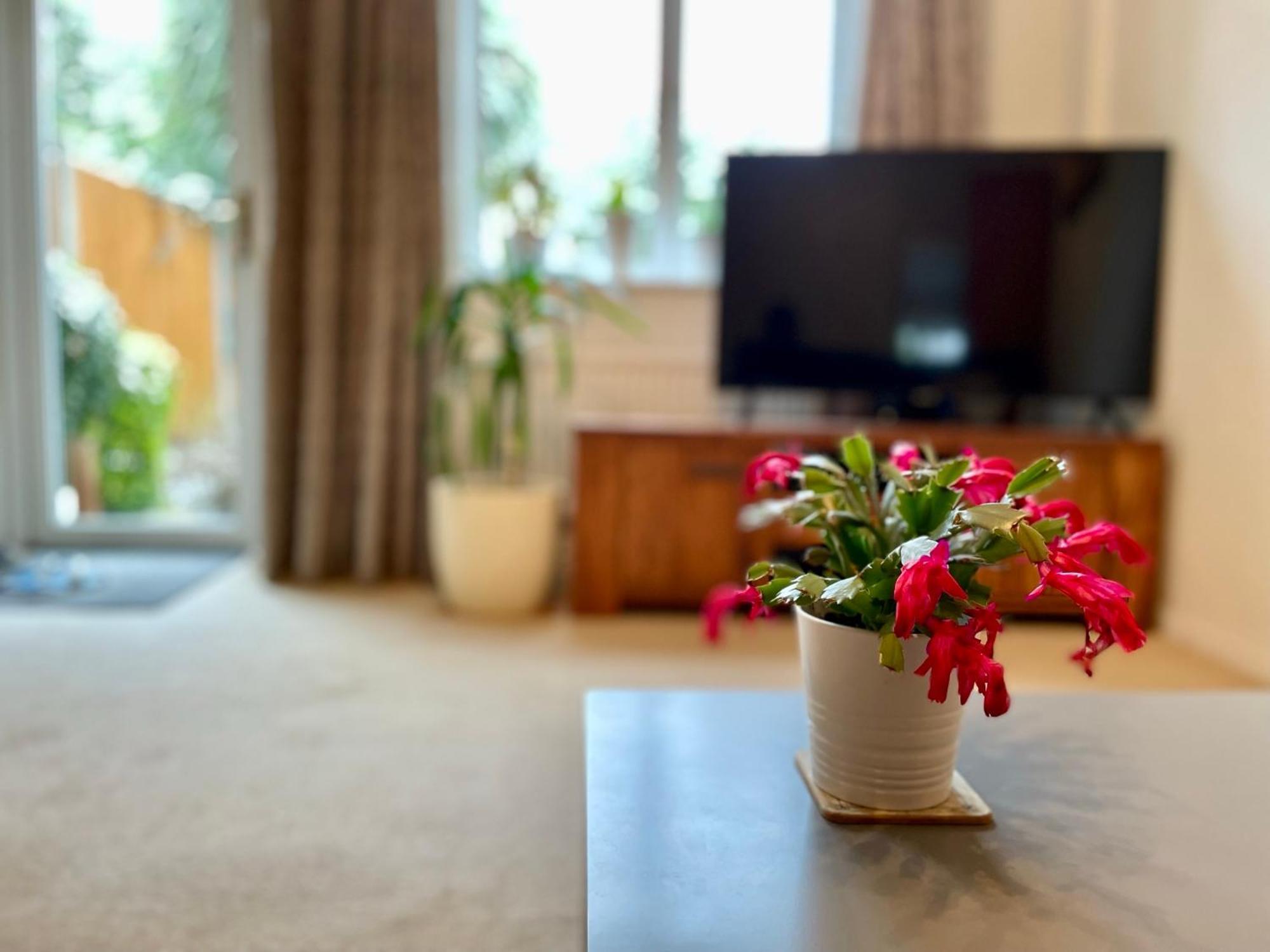 Cosy Quiet Double * Almondsbury