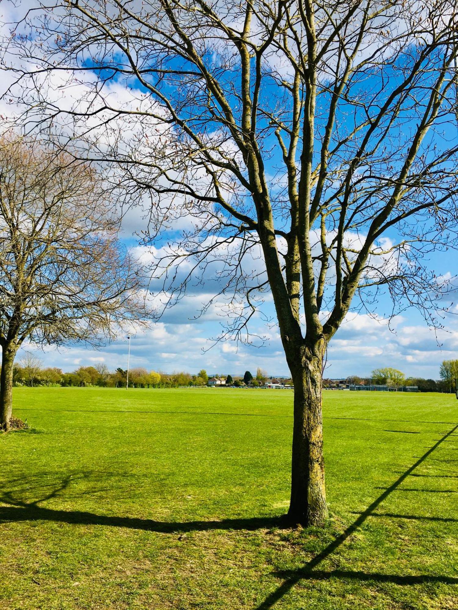 Cosy Quiet Double Bed and breakfast Almondsbury